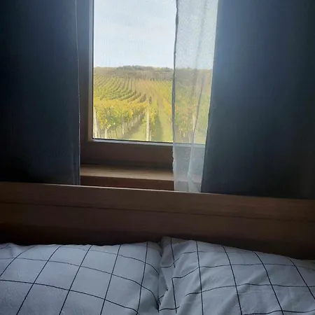Sklipek Apartamento